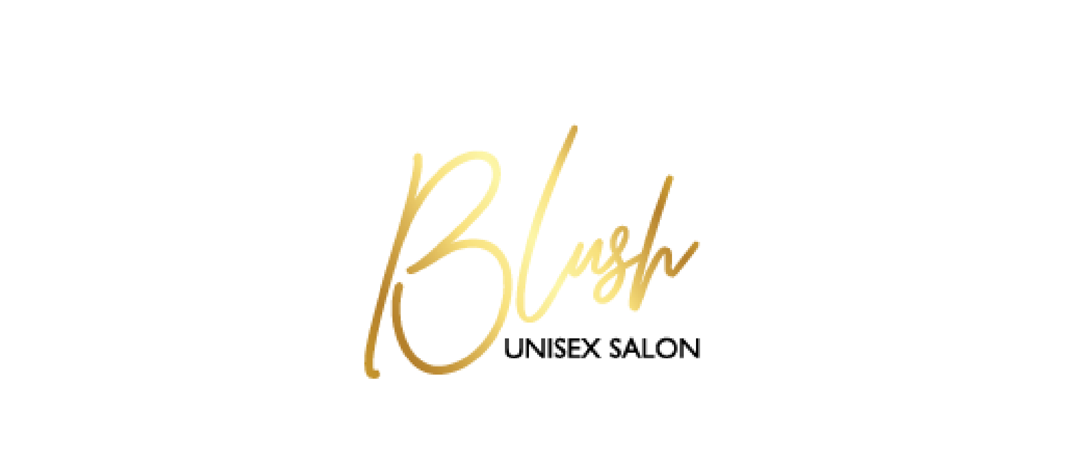 Blush Hair Salon - Client - DesignPro Digital Agency In Gulbarga
